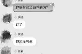 记者卧底QQ救助群 发现种种操作让人心惊！暗藏非法送养勾当图片