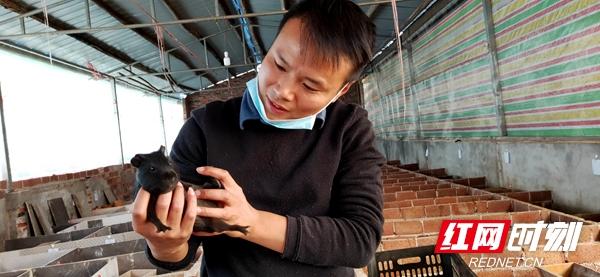 邵阳市双清区：“智多星”传递脱贫攻坚“接力棒”