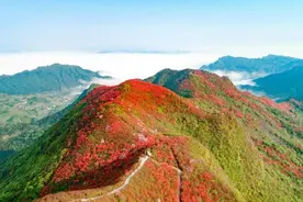 今年“五一”，别错过“丹寨高山花海”图片