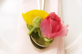 吴兰香‖玫瑰花和你（散文）图片