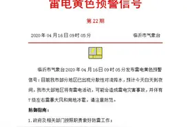 海丽气象吧｜7级雷暴大风+局地冰雹 临沂发布雷电黄色预警图片
