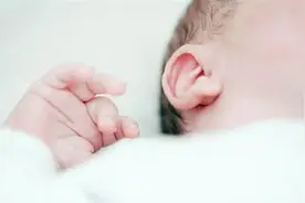 世界噪音日 | 试试这些白噪音，或许可以帮你入眠图片