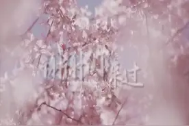 MV《谢谢你来过》：致敬援鄂医疗队，他们返程隔离后，再请战图片