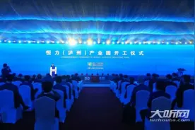 总投资200亿 泸州建市以来最大项目正式开工建设图片