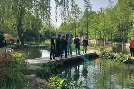 别在杭州城市河道内设置渔网虾笼，会破坏生态平衡，查到还要罚款图片