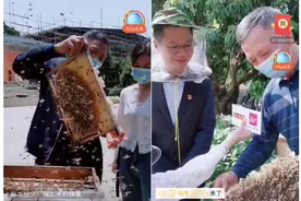 广州从化副区长直播6000斤荔枝蜂蜜被秒，应用户要求返场带货图片