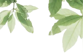 广丰有个长寿村，快来探寻长寿密码!图片