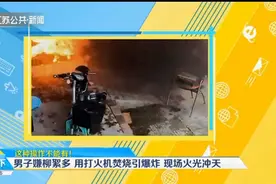 邯郸男子嫌柳絮多，用打火机焚烧引发车辆爆炸，现场火光冲天！视频封面