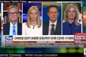 美总统顾问电视采访中出糗 不知新冠肺炎为何被命名为Covid-19图片