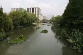 杭州集中整治城市河道网鱼“逮”到收缴、罚款图片