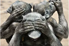 相同的事实，不同人的解读为什么不一样？图片