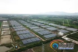 海南控股东方新龙光伏项目全容量顺利并网发电图片