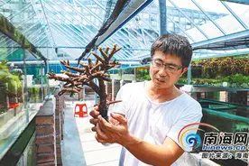 深读丨海南创新打造陆基海洋生态系统 陆地上的“海洋牧场”图片