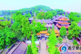 去潼南吃龙虾采桑葚　来遂宁赏荷花摘樱桃相关新闻图片