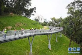 广州：空中步道林间行图片