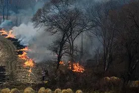 烧秸秆导致东北多地空气质量指数“爆表”视频封面