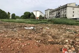 记者暗访：这些环境问题，何时能彻底解决？图片