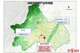 “鲲鹏”展翅！天府新区建鲲鹏生态产业园，2025年成都鲲鹏产业规模要超500亿图片