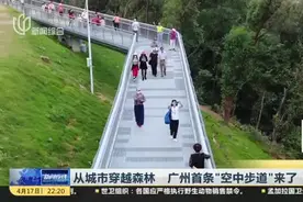 从城市穿越森林  广州首条“空中步道”来了视频封面