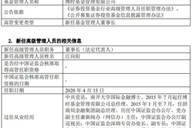 博时基金正式换帅：江向阳“转正”任董事长，仍兼任总经理图片