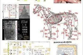 清华北大学生晒网课笔记，网友：这都是什么神仙笔记啊！图片
