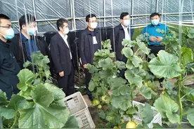 引来资源补短板，潍坊市委宣传部、市委网信办“四进”工作组在行动图片