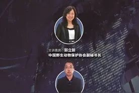 《新闻2+1》“爱鸟周”系列节目4月17日14:30直播图片