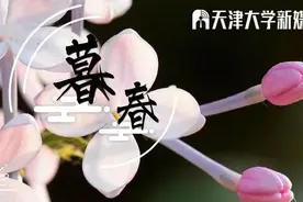天津大学2020年博士研究生招生远程多元考核方案（含工程博士）图片