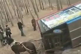 网红马车翻车 快手女主播遭遇不测图片