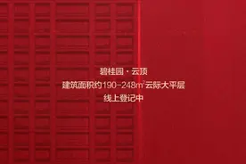 碧桂园·云顶MAX平层+ 线上登记仅2小时 已过线图片