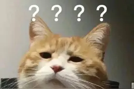 女子刚回家，发现挖掘机正在拆自家围墙！看到结局笑了...图片