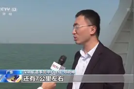 “抄作业”,深圳湾航道疏浚环评报告出现35次“湛江”图片