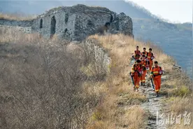 影像记录｜守护脚下这片山林图片