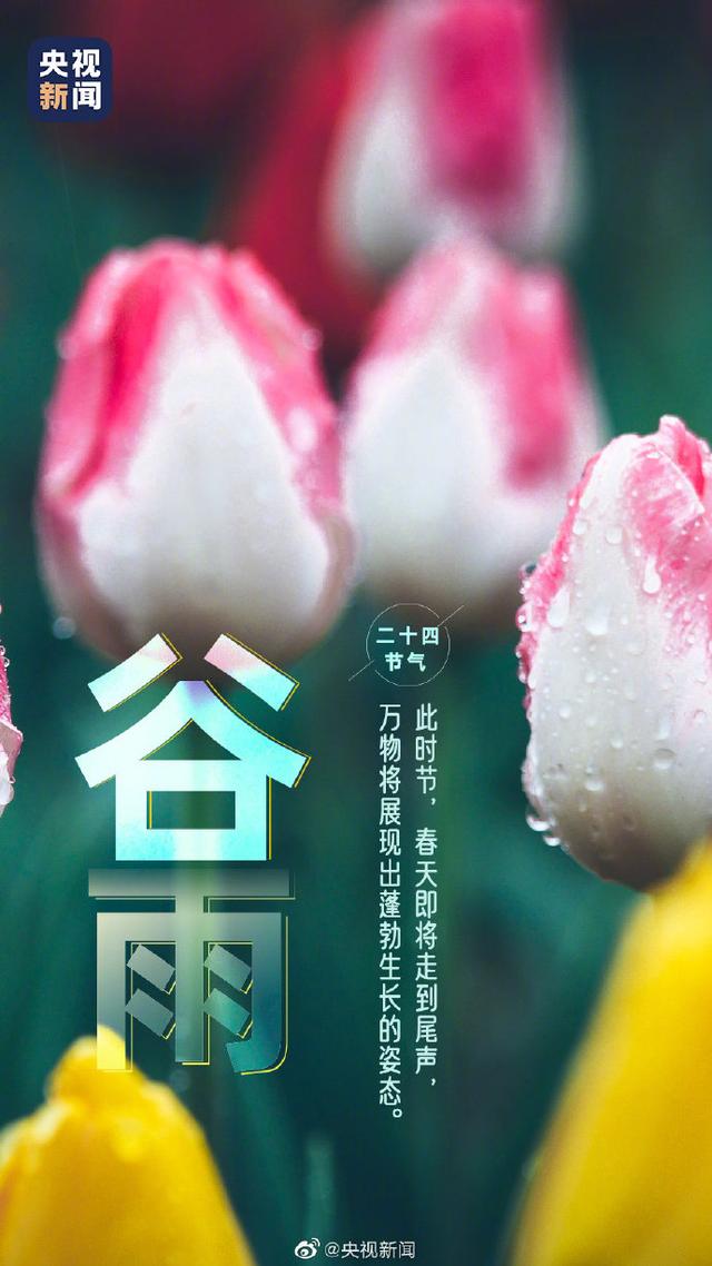 今日，谷雨，春季最后一个节气到了