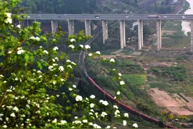 壮观场景！铁路高速县乡道并排通过四川沱江峡谷图片