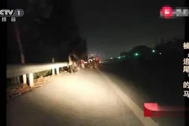 老人骑马上路，却意外被三轮车追尾，醒来感慨：马路马为何不能走图片