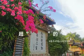 医护人员免费游览！观澜山水田园明天恢复开园图片