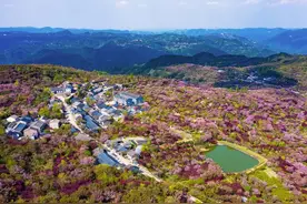 宁波四明山：樱花开满山坡图片