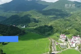 从产业扶贫到长效富民的“映山红模式”视频封面