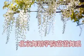 健康与美丽，无处不在视频封面