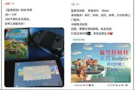 10天营收2万元：在《动森》里做生意到底有多赚钱？图片