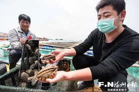 春风暖 连江鲍鱼产业“冰封”渐消融图片
