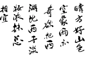 西湖诗会丨饮湖上初晴后雨图片
