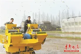 郑明建：老农发明抛秧“神器”图片