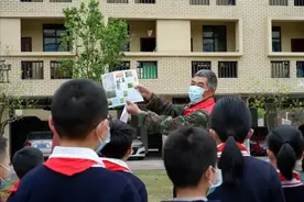 远程学习枣树嫁接知识图片