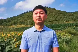 「第一书记大集」岫岩北黄岭村：山中王虫草参，春夏吃叶秋吃根图片