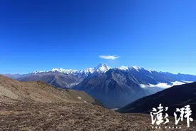 贡嘎追花：从森林到冰川图片