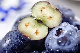 长白山脚下的超大蓝莓，酸甜爆汁，一口吃过瘾图片