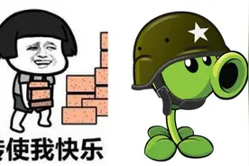什么？植物也有生产力？图片