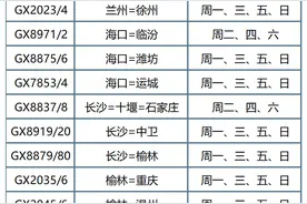 北部湾航空2020年夏秋航季航线“云推介会”顺利召开图片